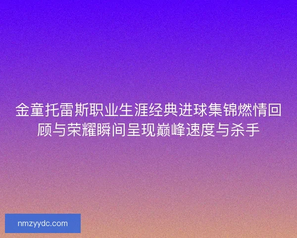 金童托雷斯职业生涯经典进球集锦燃情回顾与荣耀瞬间呈现巅峰速度与杀手
