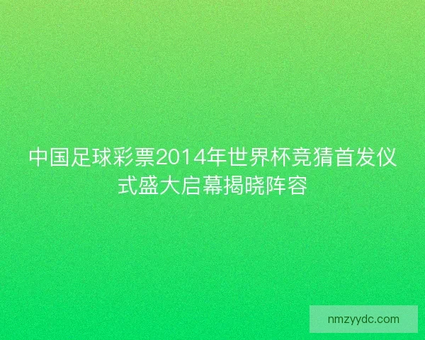 中国足球彩票2014年世界杯竞猜首发仪式盛大启幕揭晓阵容 中国足球彩票2014年世界杯竞猜首发仪式盛大启幕揭晓阵容