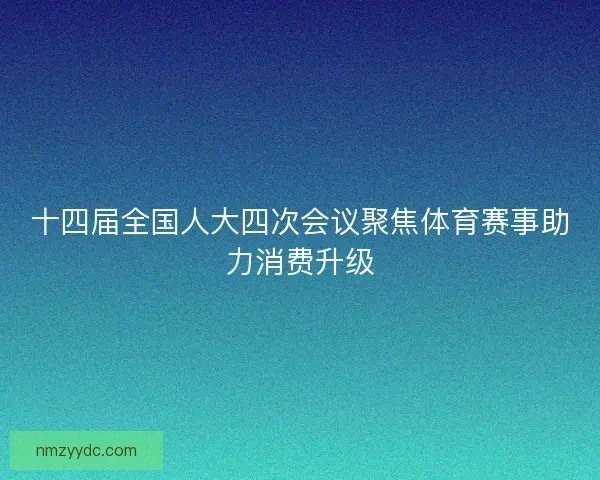 十四届全国人大四次会议聚焦体育赛事助力消费升级