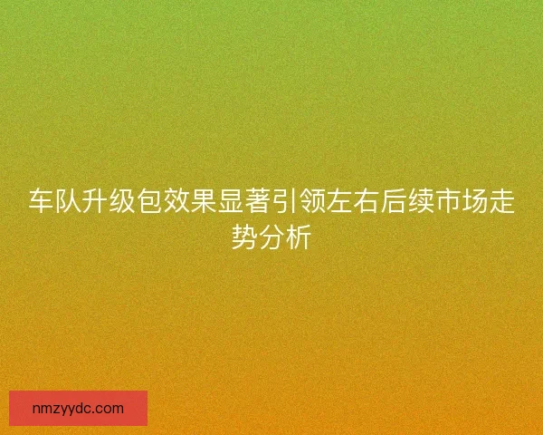 车队升级包效果显著引领左右后续市场走势分析