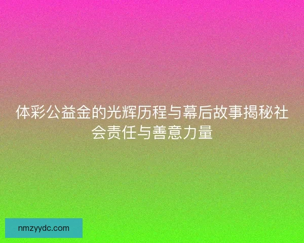 体彩公益金的光辉历程与幕后故事揭秘社会责任与善意力量